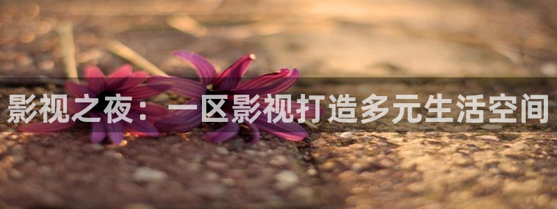 樱花影院免费电影：影视之夜：一区影视打造多元生活空间
